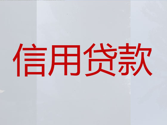 景洪市信用贷款